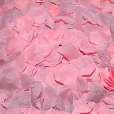 Diablo Picante - 100 Pétales de Rose pour Ambiance Romantique