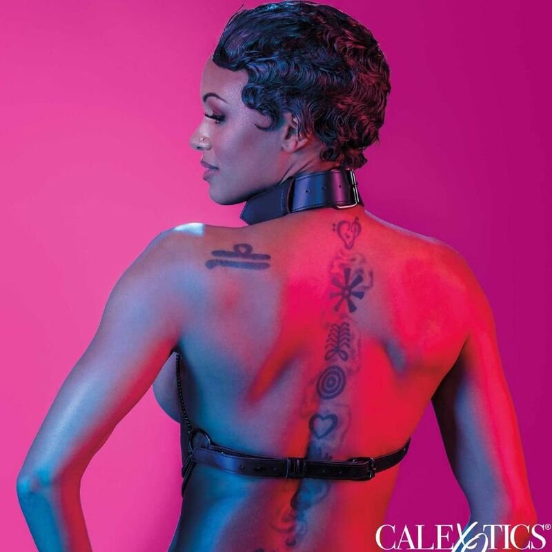 CALEXOTICS - EUPHORIA HARNAIS COLLIER MULTI CHAÎNES – Image 7