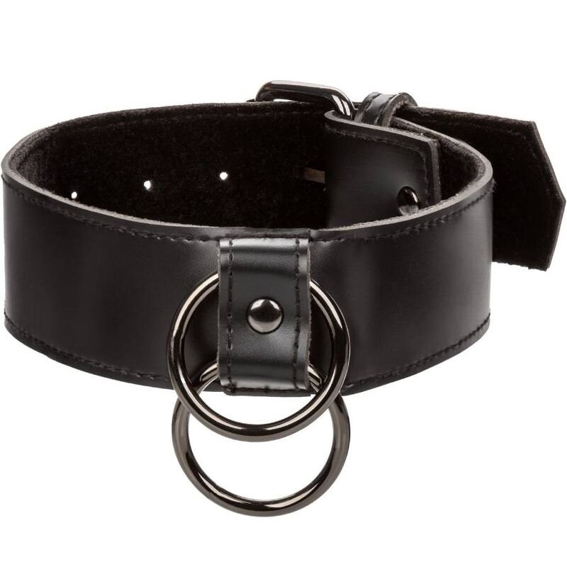 Calexotics - Euphoria Collier Avec Laisse Chaîne | SexDelice – Image 8