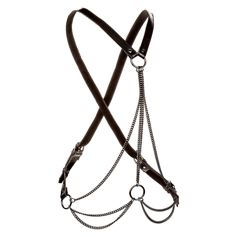 Calexotics - Euphoria Harnais Multichaîne Premium Grande Taille | SexDelice