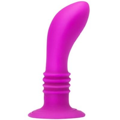 <h3>Bouchon Vibrateur Anal en Silicone Booty Passion 10 Modes</h3>